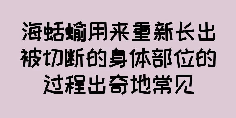 海蛞蝓用来重新长出被切断的身体部位的过程出奇地常见