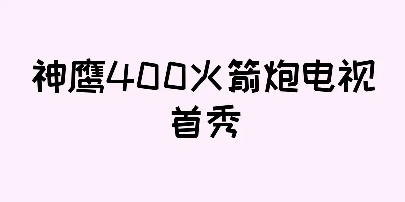 神鹰400火箭炮电视首秀