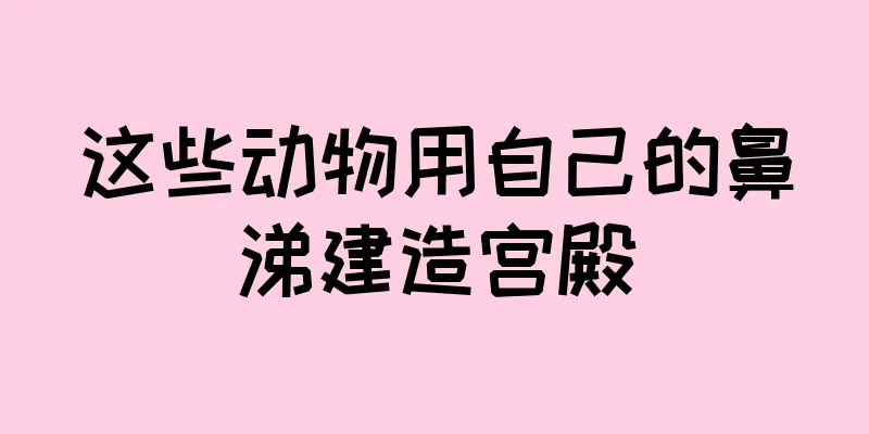 这些动物用自己的鼻涕建造宫殿