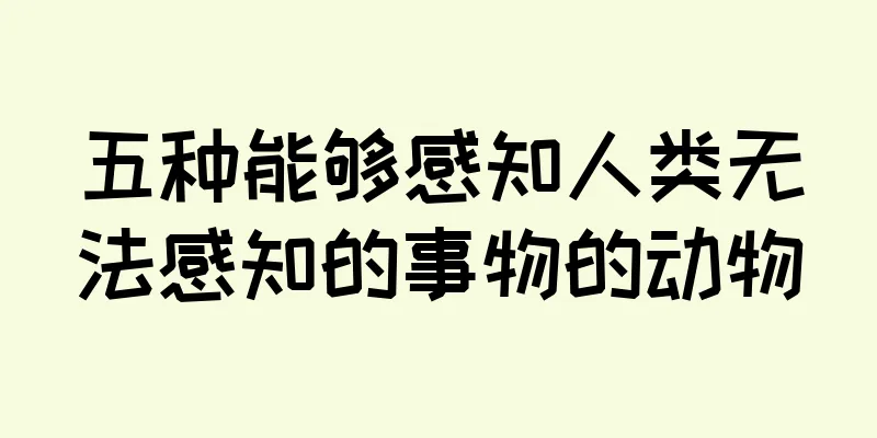 五种能够感知人类无法感知的事物的动物