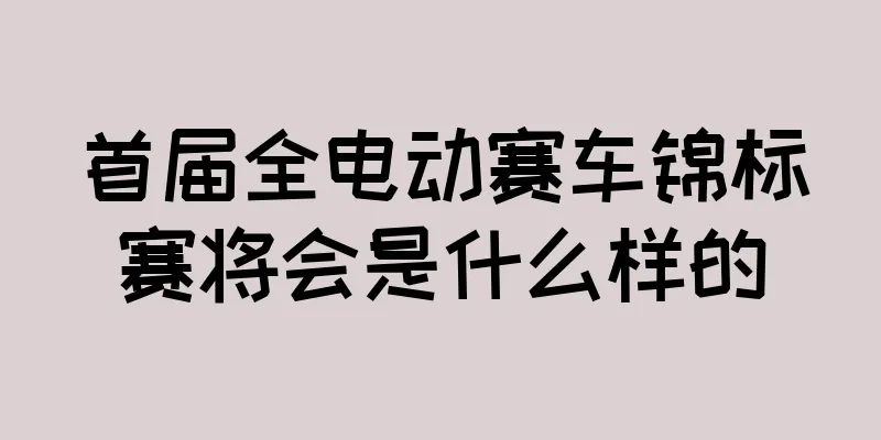 首届全电动赛车锦标赛将会是什么样的
