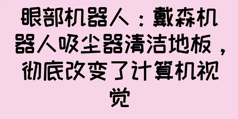 眼部机器人：戴森机器人吸尘器清洁地板，彻底改变了计算机视觉