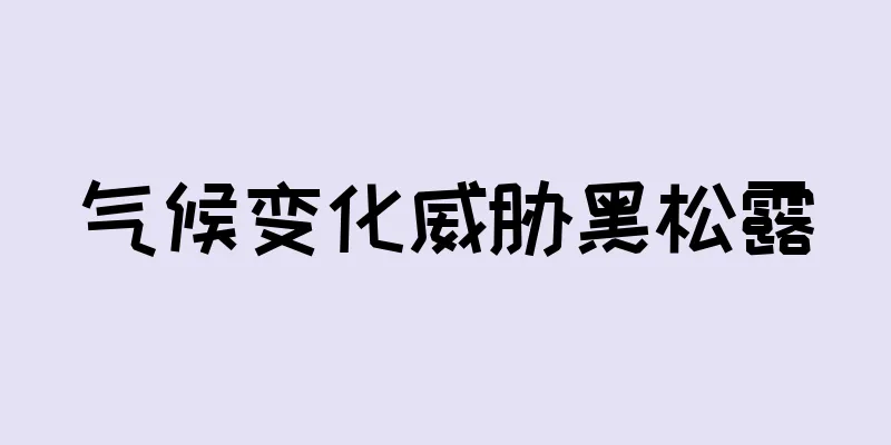 气候变化威胁黑松露