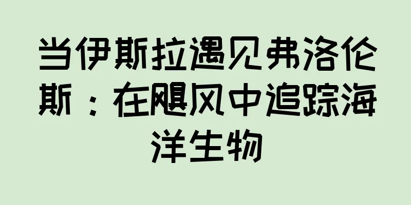 当伊斯拉遇见弗洛伦斯：在飓风中追踪海洋生物