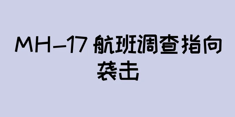 MH-17 航班调查指向袭击