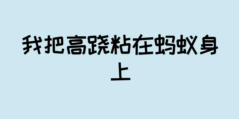 我把高跷粘在蚂蚁身上