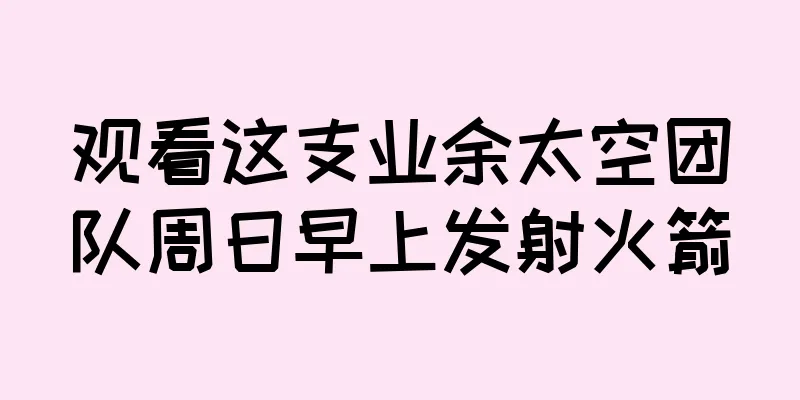 观看这支业余太空团队周日早上发射火箭