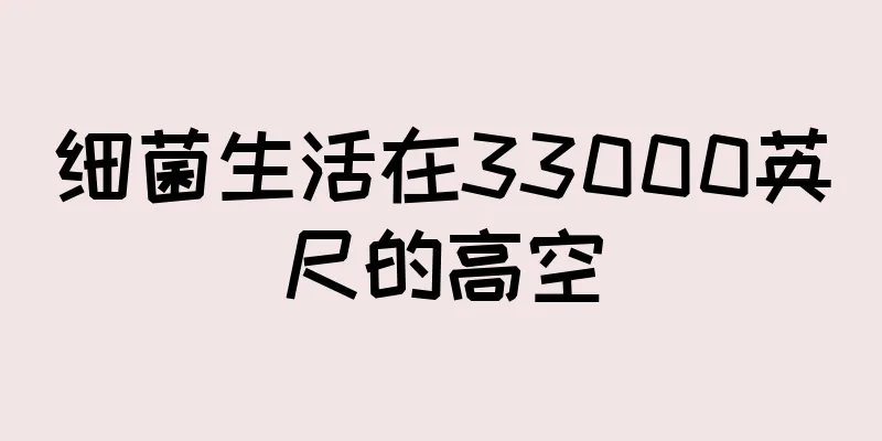 细菌生活在33000英尺的高空