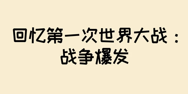 回忆第一次世界大战：战争爆发