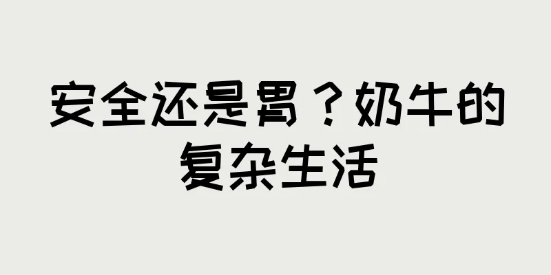 安全还是胃？奶牛的复杂生活