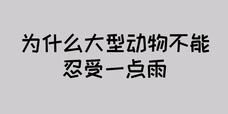 为什么大型动物不能忍受一点雨