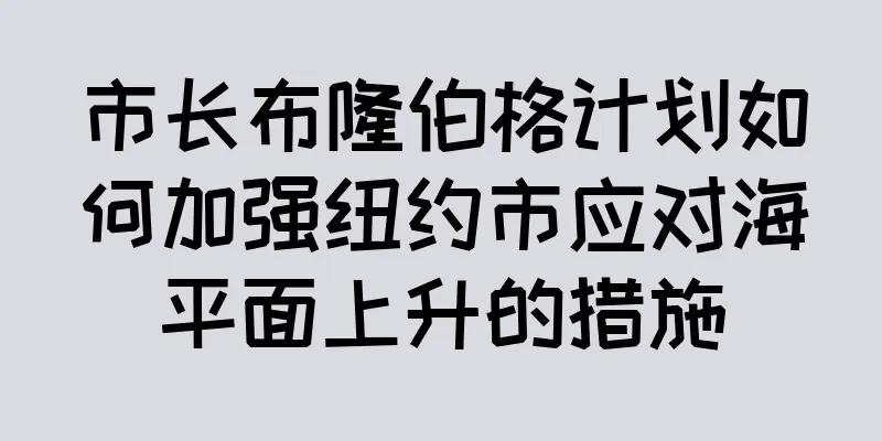 市长布隆伯格计划如何加强纽约市应对海平面上升的措施