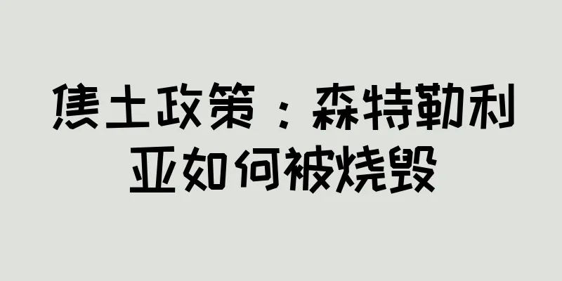 焦土政策：森特勒利亚如何被烧毁