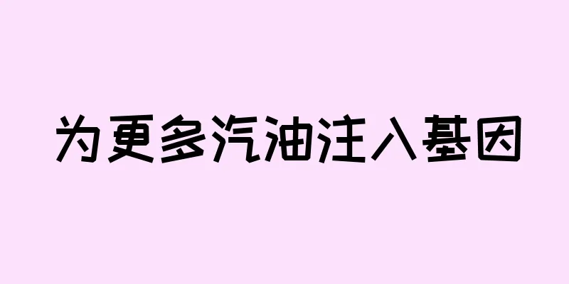 为更多汽油注入基因