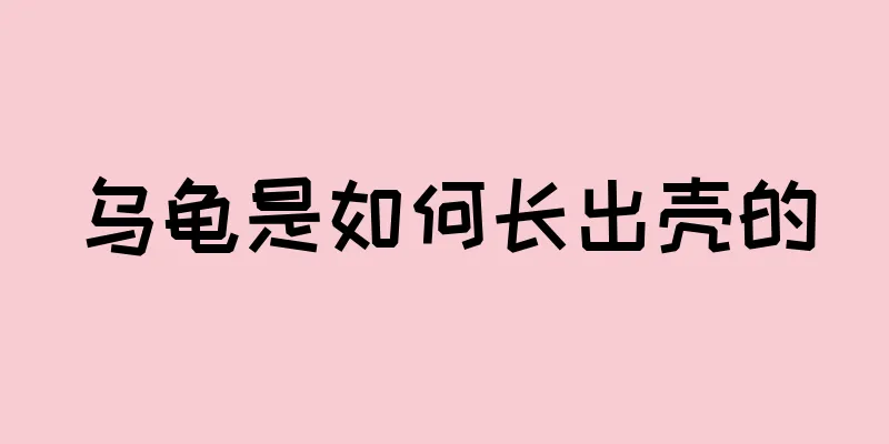 乌龟是如何长出壳的