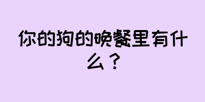 你的狗的晚餐里有什么？