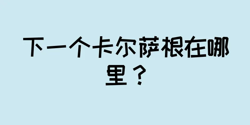 下一个卡尔萨根在哪里？