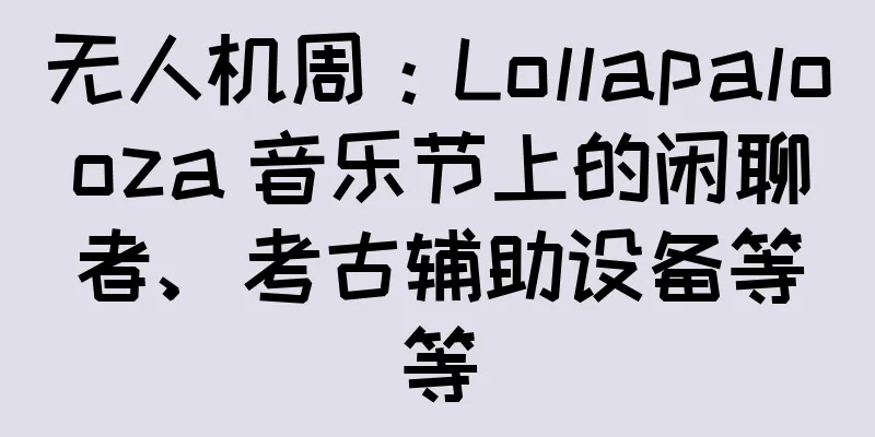 无人机周：Lollapalooza 音乐节上的闲聊者、考古辅助设备等等