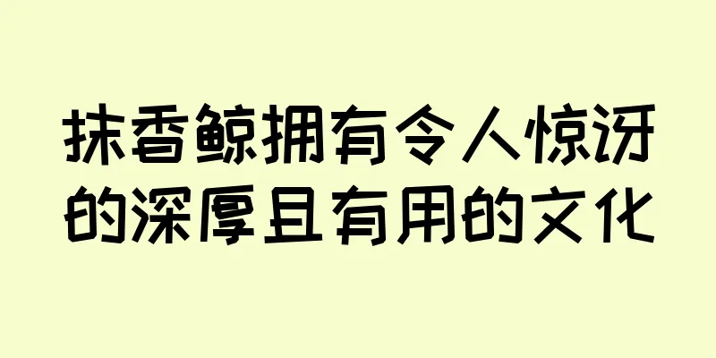 抹香鲸拥有令人惊讶的深厚且有用的文化