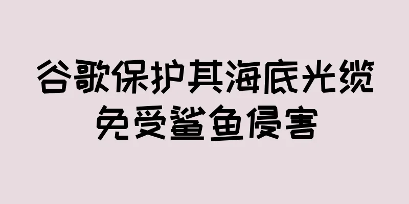 谷歌保护其海底光缆免受鲨鱼侵害
