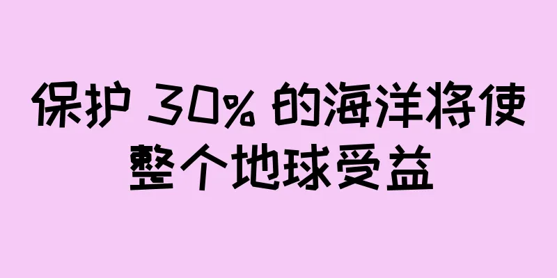 保护 30% 的海洋将使整个地球受益