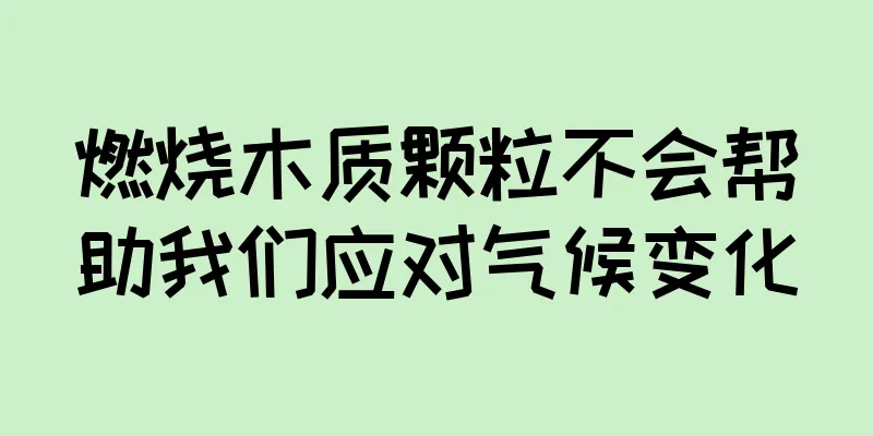 燃烧木质颗粒不会帮助我们应对气候变化