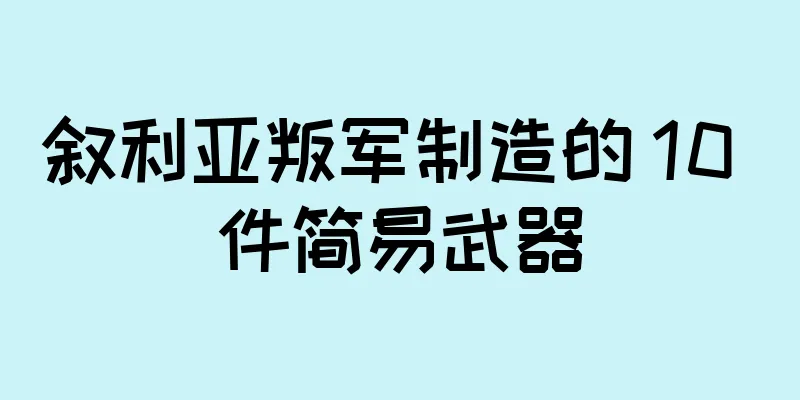 叙利亚叛军制造的 10 件简易武器