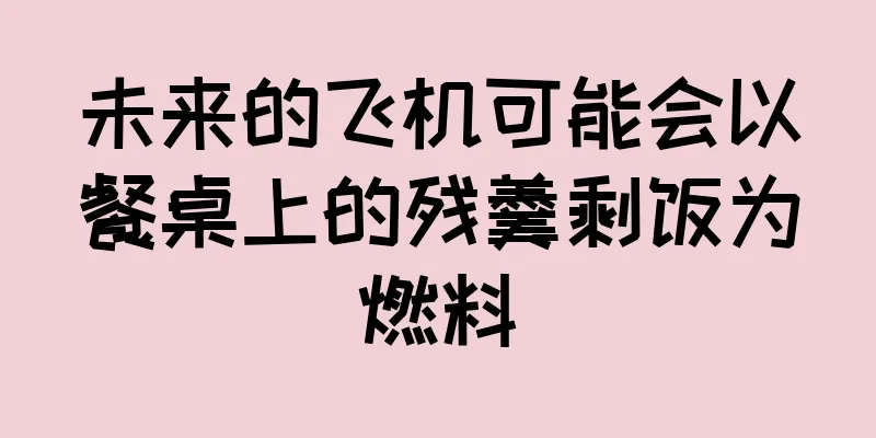 未来的飞机可能会以餐桌上的残羹剩饭为燃料