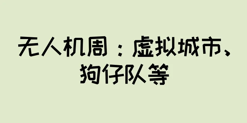 无人机周：虚拟城市、狗仔队等