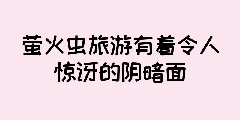 萤火虫旅游有着令人惊讶的阴暗面