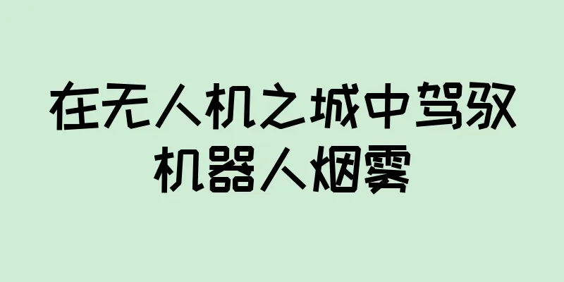 在无人机之城中驾驭机器人烟雾