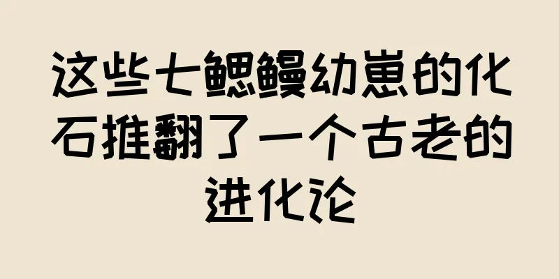 这些七鳃鳗幼崽的化石推翻了一个古老的进化论