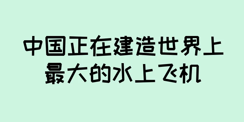 中国正在建造世界上最大的水上飞机