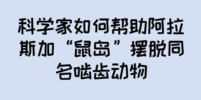 科学家如何帮助阿拉斯加“鼠岛”摆脱同名啮齿动物
