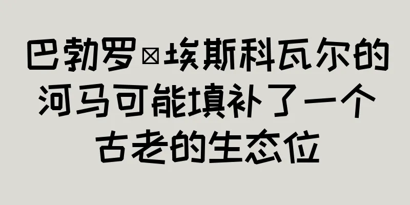 巴勃罗·埃斯科瓦尔的河马可能填补了一个古老的生态位