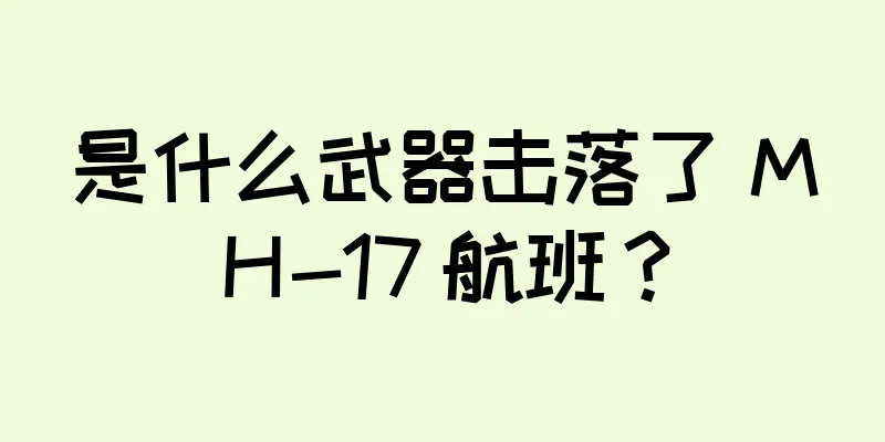 是什么武器击落了 MH-17 航班？