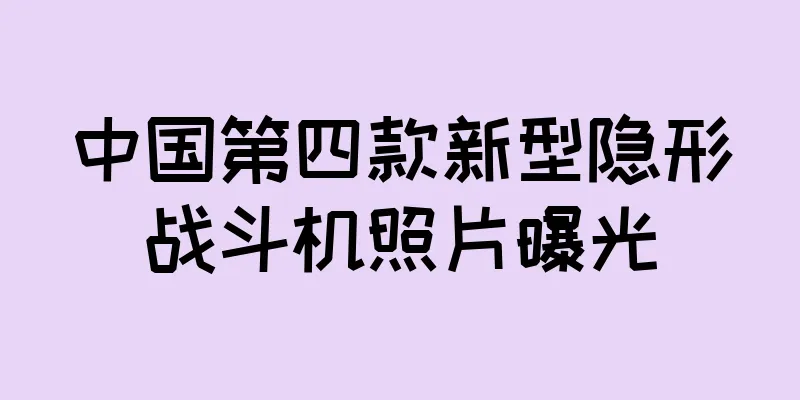 中国第四款新型隐形战斗机照片曝光