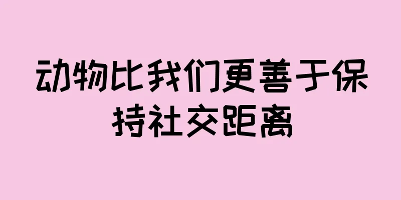 动物比我们更善于保持社交距离