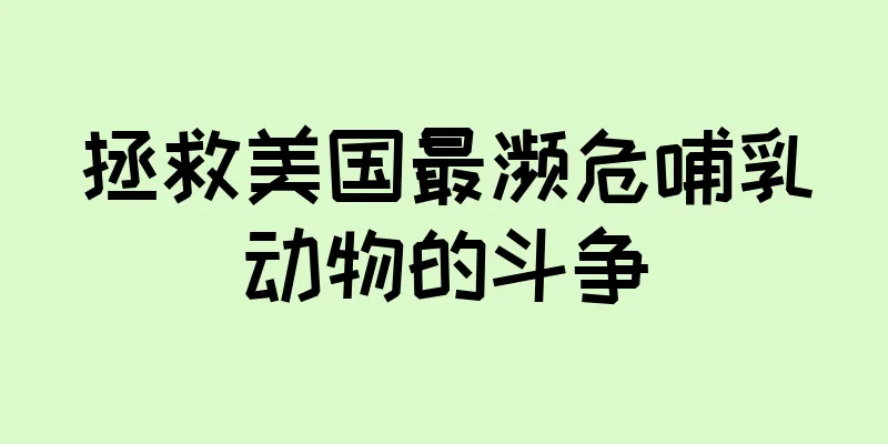 拯救美国最濒危哺乳动物的斗争