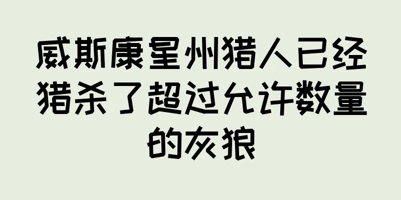 威斯康星州猎人已经猎杀了超过允许数量的灰狼
