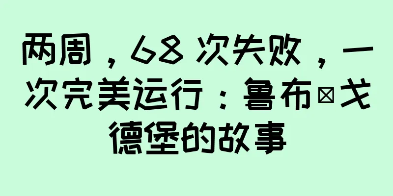 两周，68 次失败，一次完美运行：鲁布·戈德堡的故事