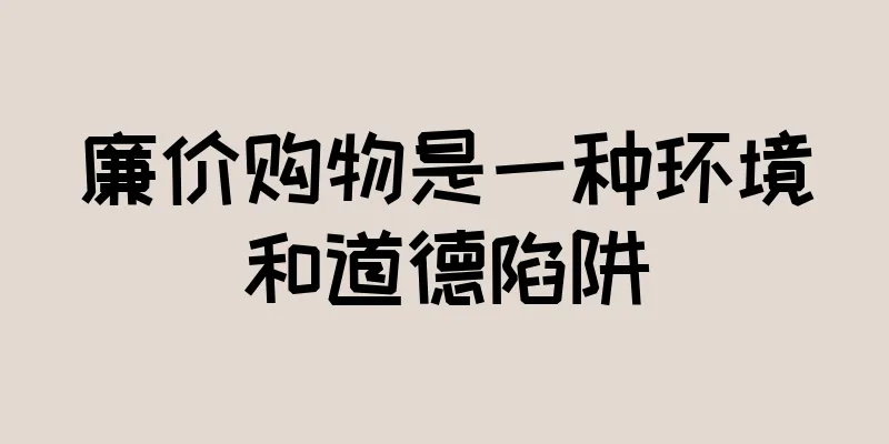 廉价购物是一种环境和道德陷阱
