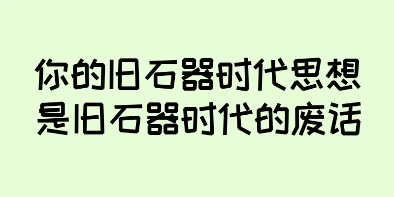 你的旧石器时代思想是旧石器时代的废话