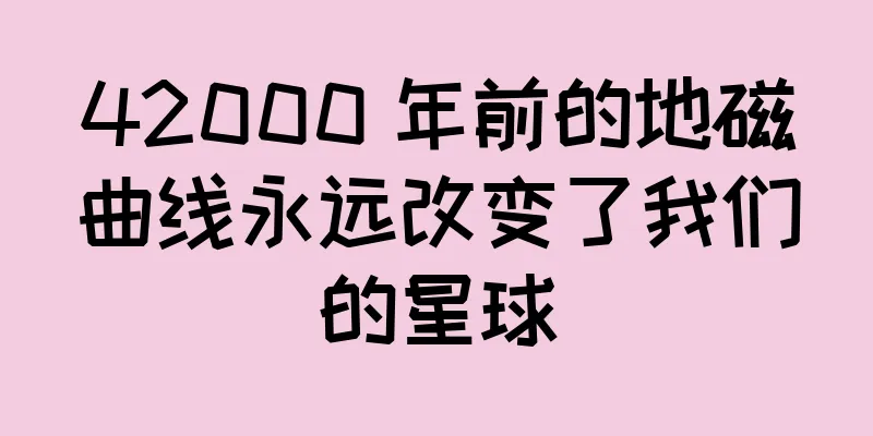 42000 年前的地磁曲线永远改变了我们的星球