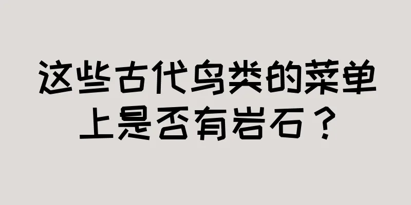 这些古代鸟类的菜单上是否有岩石？