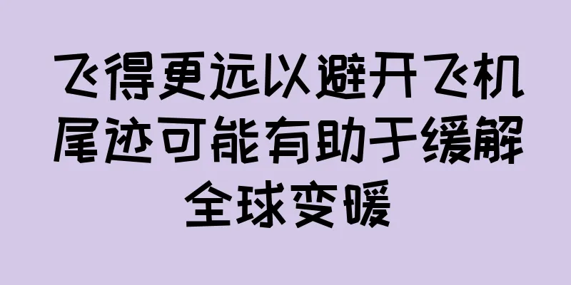 飞得更远以避开飞机尾迹可能有助于缓解全球变暖