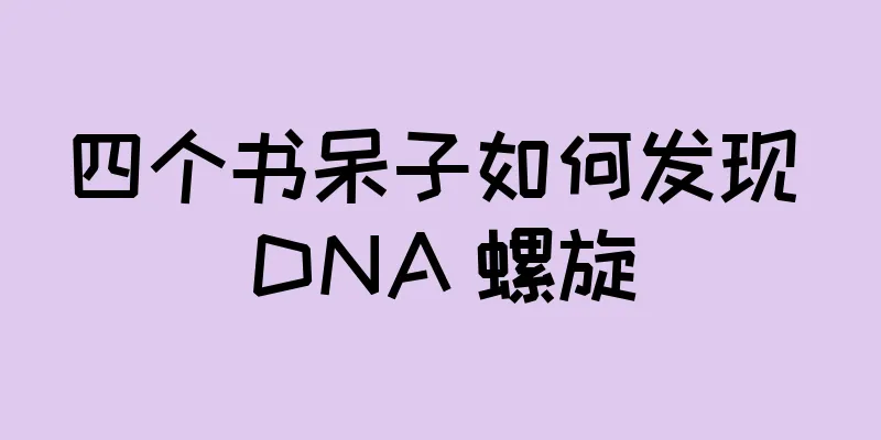 四个书呆子如何发现 DNA 螺旋