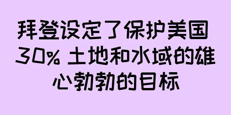 拜登设定了保护美国 30% 土地和水域的雄心勃勃的目标