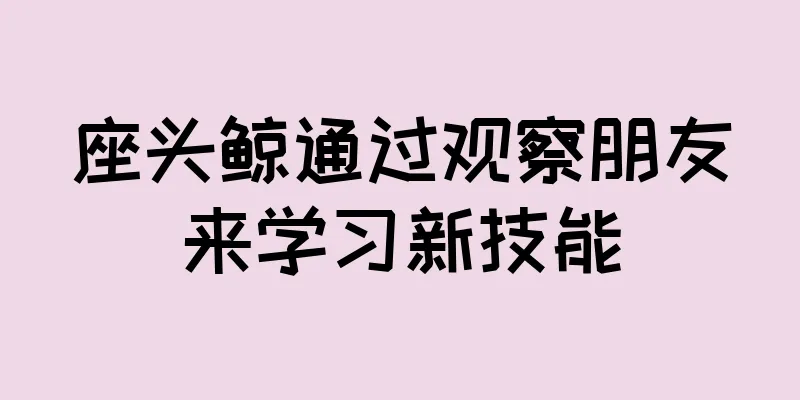 座头鲸通过观察朋友来学习新技能