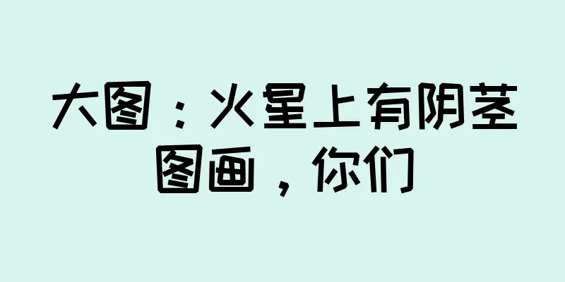 大图：火星上有阴茎图画，你们